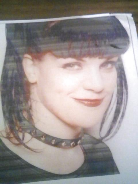 Pauley perrette
 #13221786