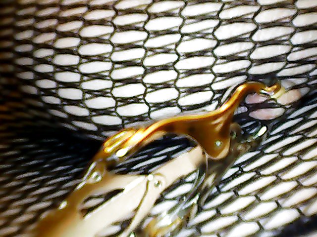 Para ti papi
 #15227694