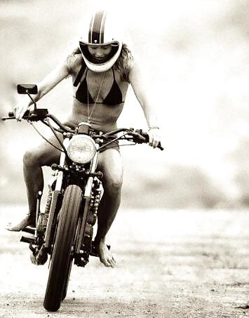 Biker Chicks #19444602