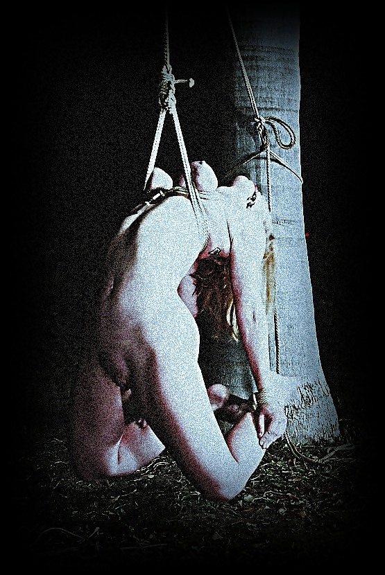 Putas azotadas 2
 #1075740