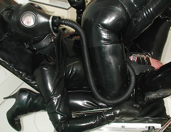 Dominas (1) #9898153