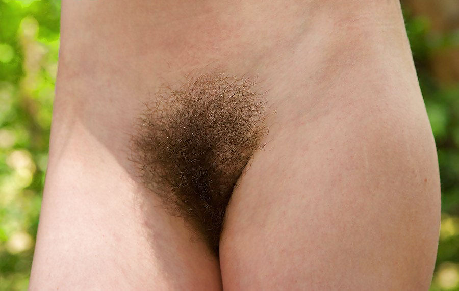 Nothing but hairy fannys #12157440
