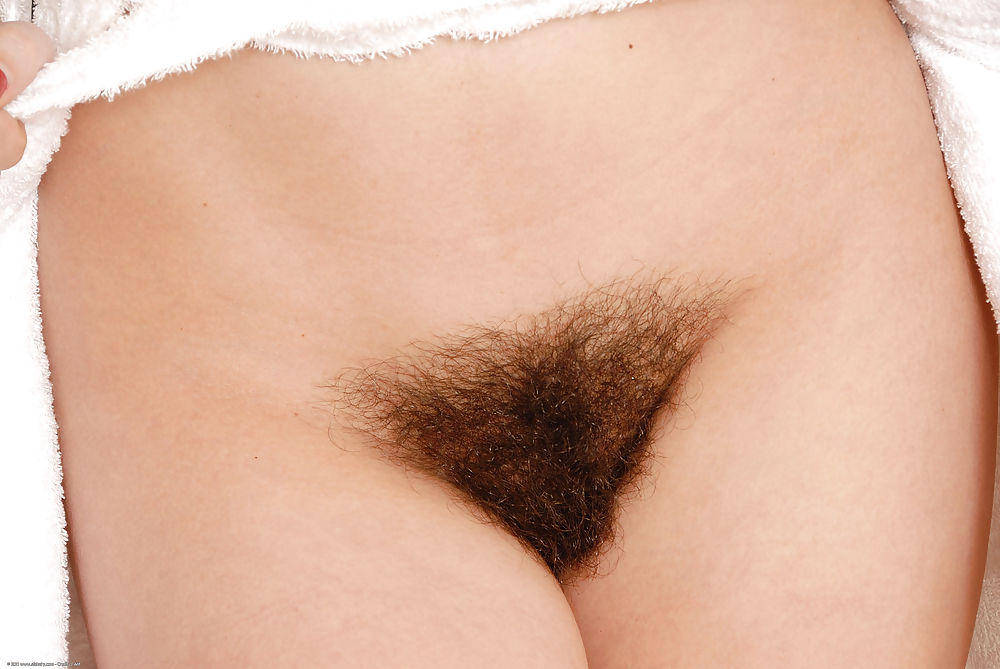 Nothing but hairy fannys #12157503