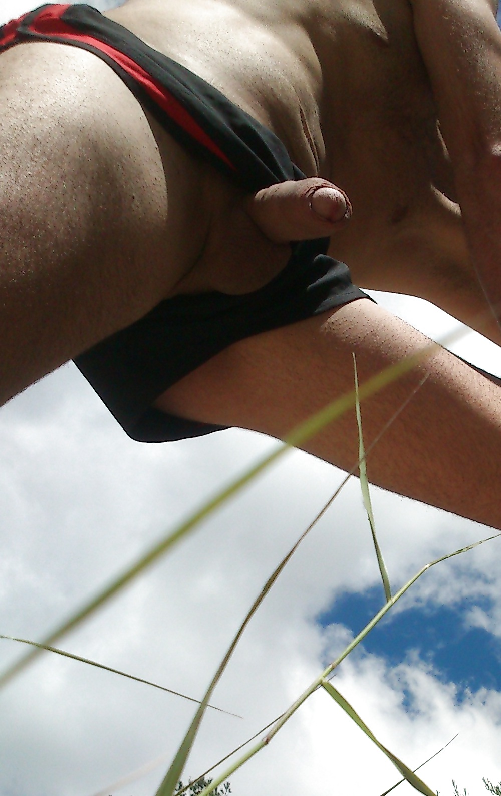 自然の展示
 #18568716