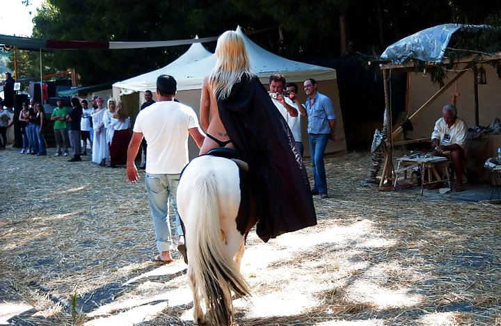 ツガ・ミックス
 #11795473