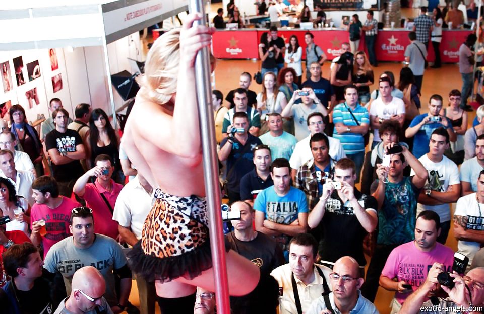 ツガ・ミックス
 #11795508