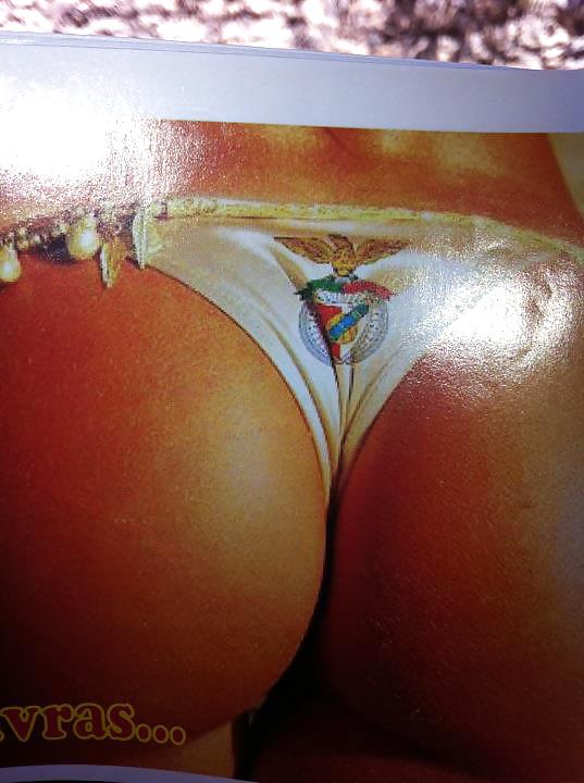 ツガ・ミックス
 #11795574