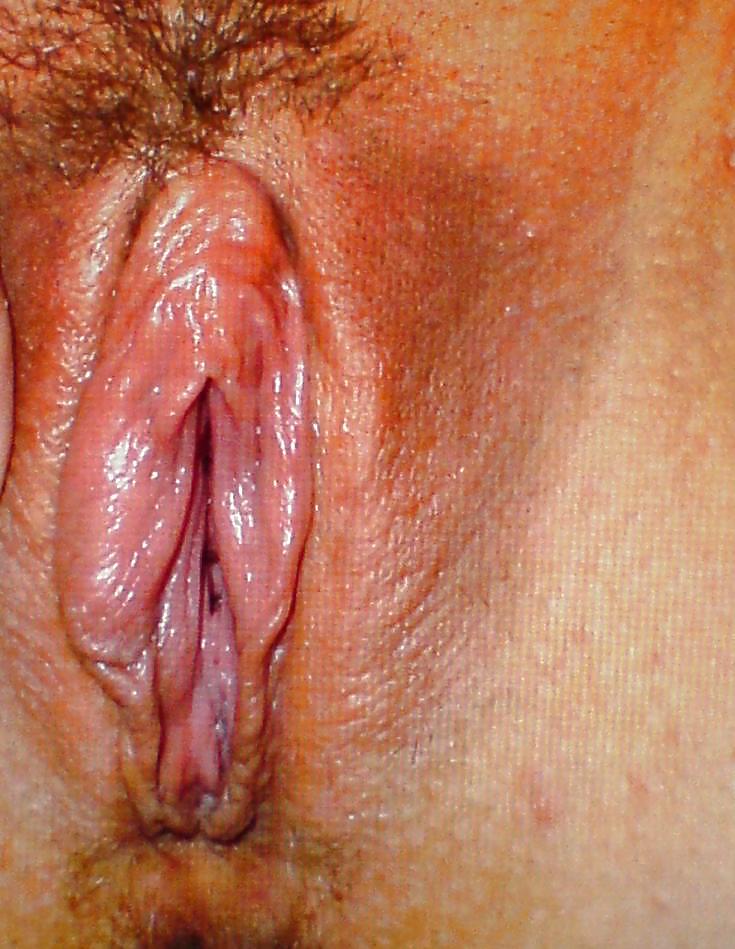 Meine fotze
 #14773243