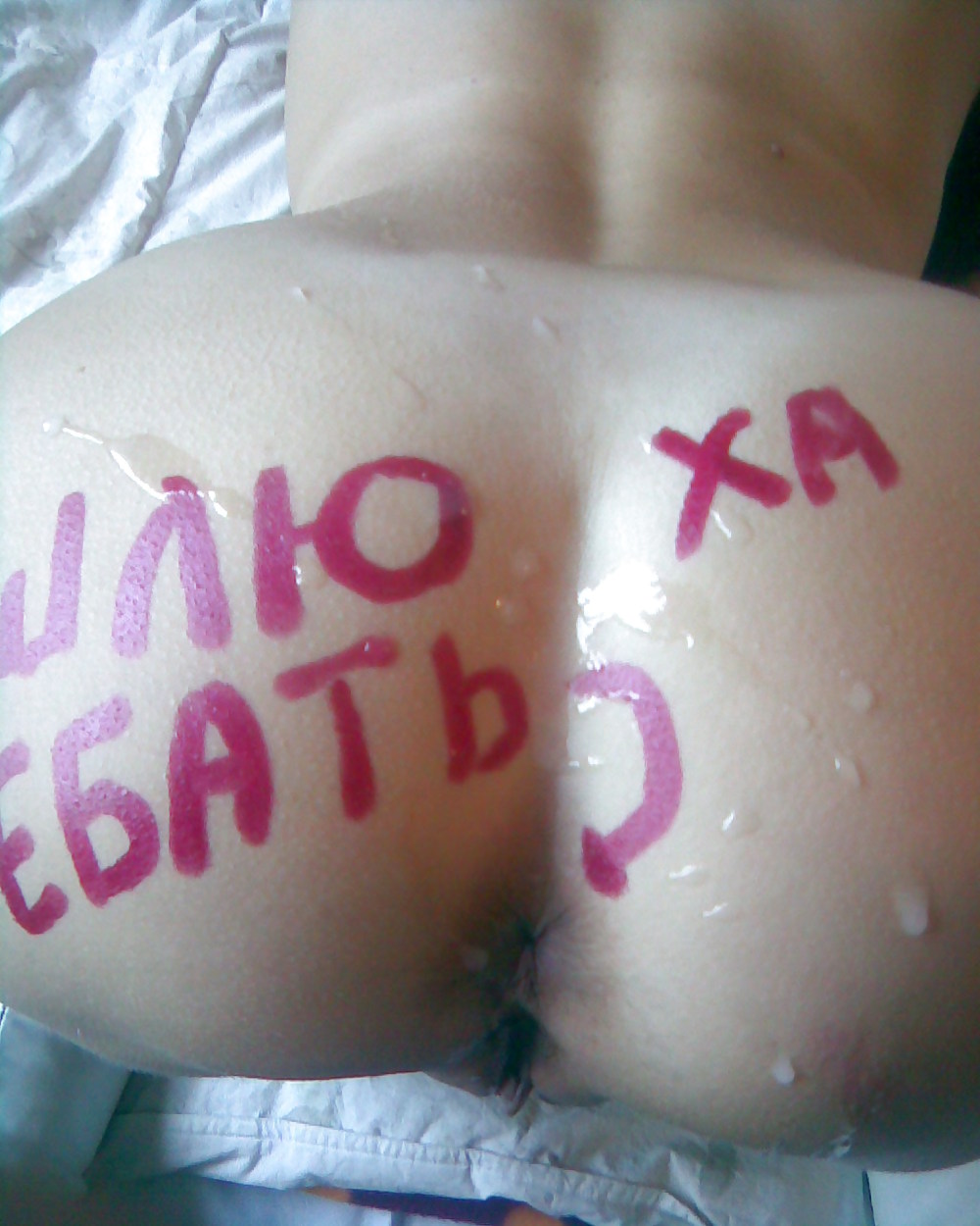 アマチュア
 #19066958