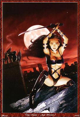 Fantasy Warriors 1 #3808586