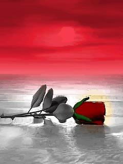 Valentines Day series of fancy & roses for you all..