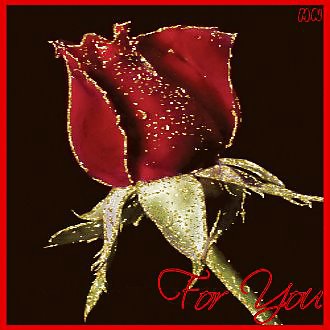 Valentinstag Sammlung Der Liebe & Rosen Für Euch Alle .. #7502686