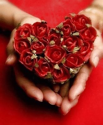 Valentinstag Sammlung Der Liebe & Rosen Für Euch Alle .. #7502701