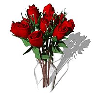 Valentinstag Sammlung Der Liebe & Rosen Für Euch Alle .. #7502772