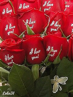 Valentinstag Sammlung Der Liebe & Rosen Für Euch Alle .. #7502823
