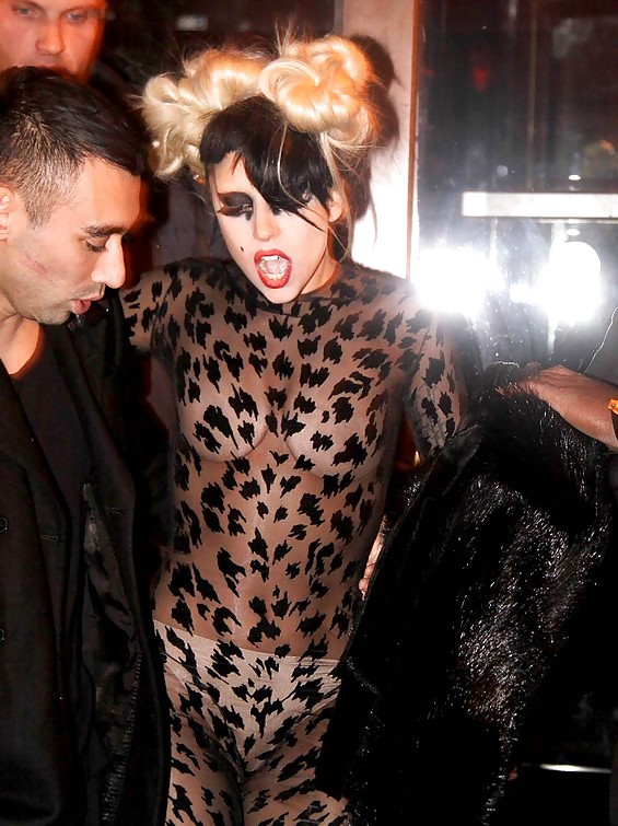 Lady Gaga  #8806966