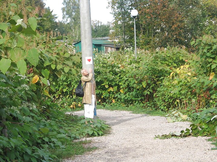 Nn.mature.julita
 #19791578