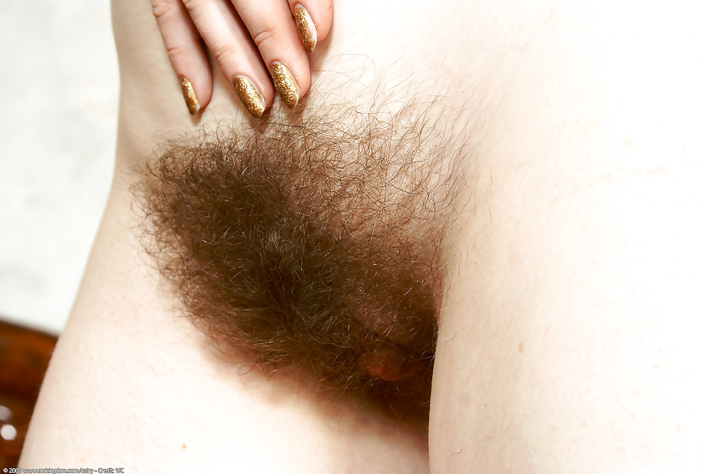 Hairy collection #1354881