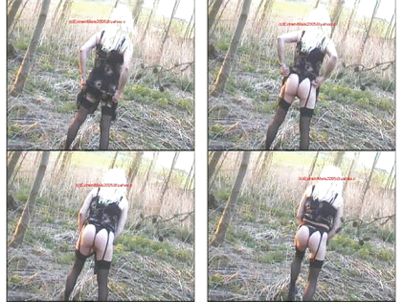 Pain in public wood  #4331455