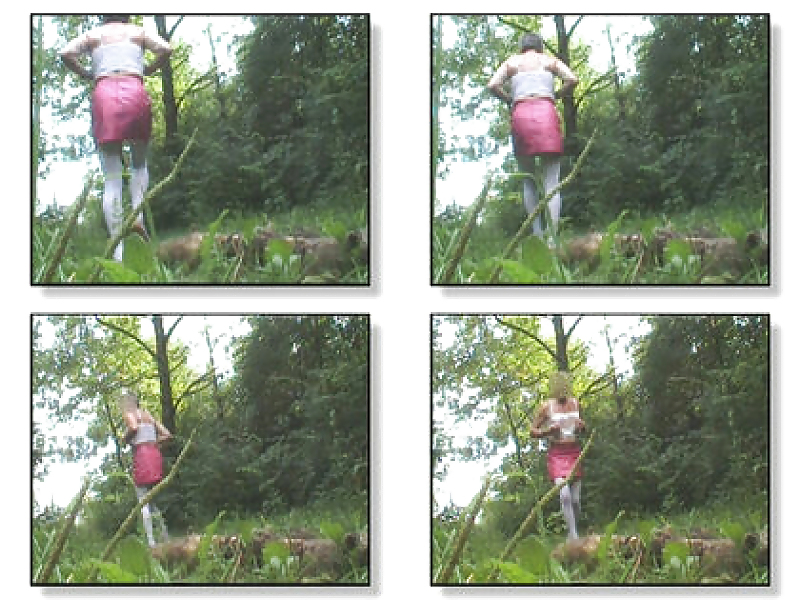 Pain in public wood  #4331713