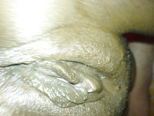 Pics #3868032