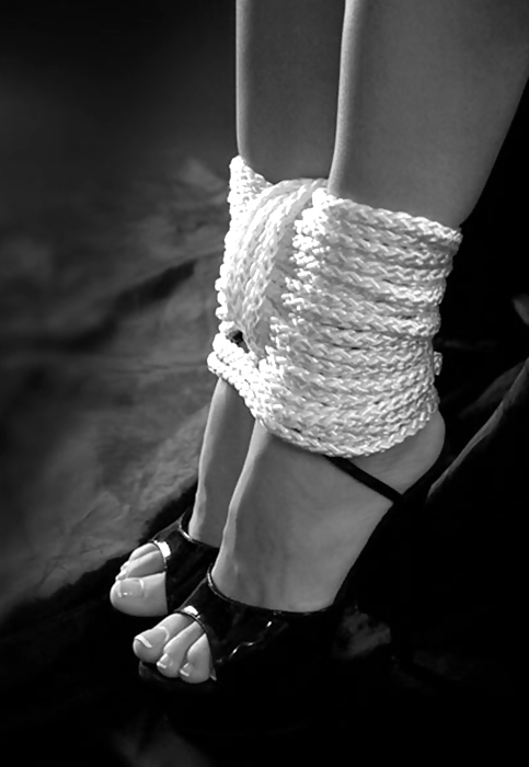 Foot #3540798