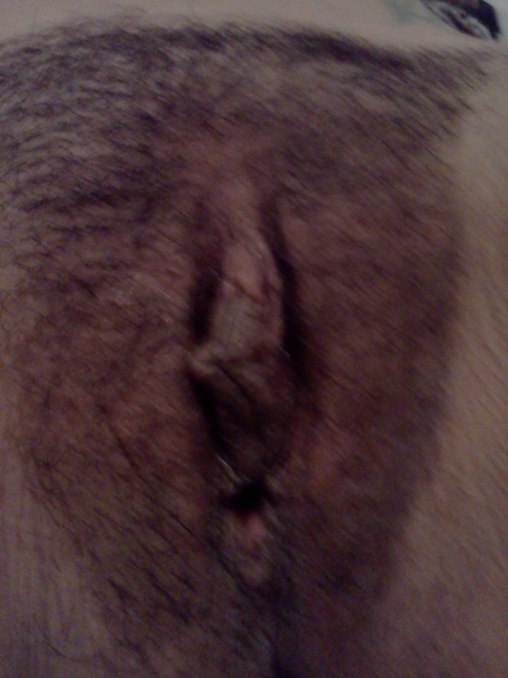 プッシーの写真
 #12921384