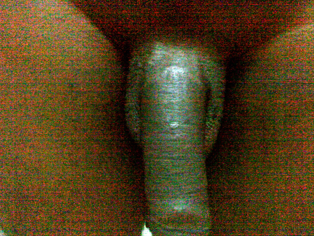 My pic #3406446