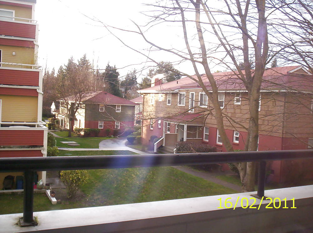 My Pacific Northwest flat (testing digital camera) #2798840