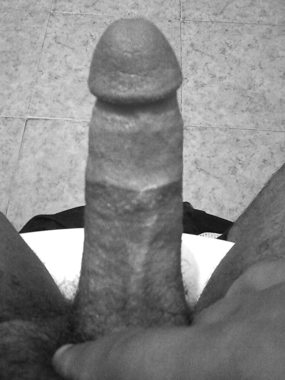 Myyyy Penisss  #3477447