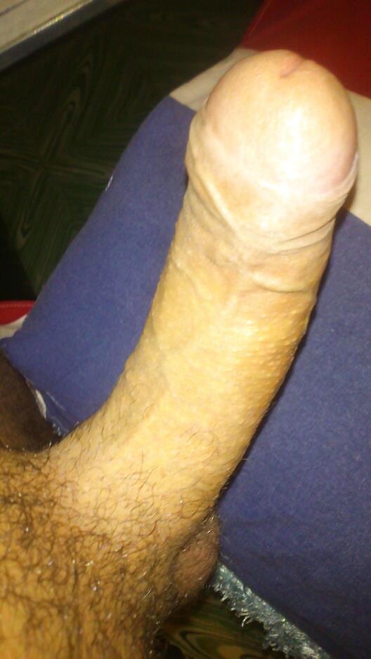My hard cock for ladyes #19852917