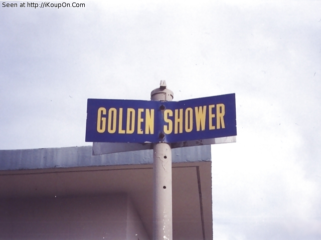 黄金のシャワーのユーモア2 
 #9090224