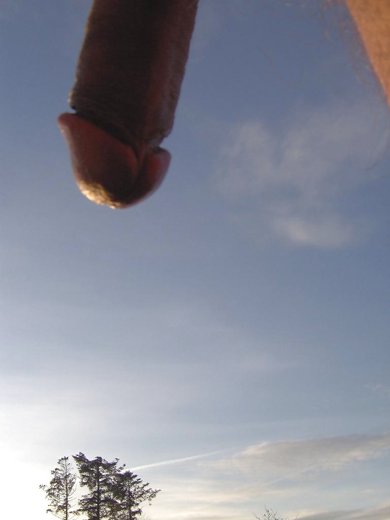 My cock seen from frogs perspective #20052085