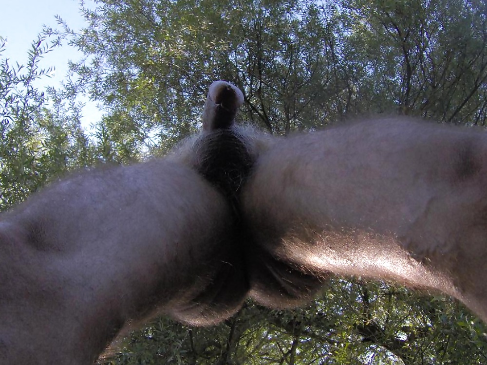 My cock seen from frogs perspective #20052211