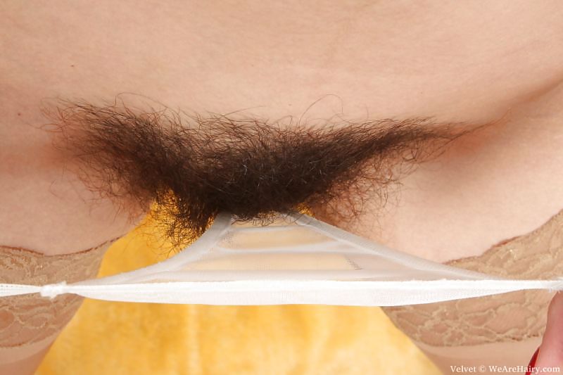 Panty peek
 #14793914