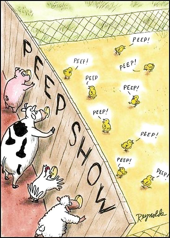 Hot and Funny #4437258