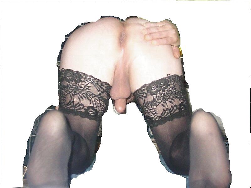 Ass #3653023