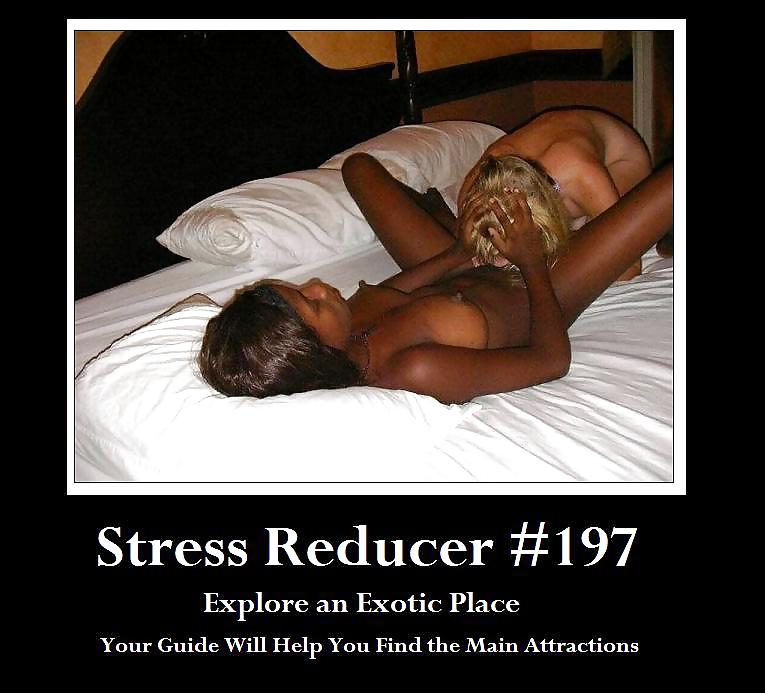 Funny Stress Reducers 197 to 216  83112 #13477546