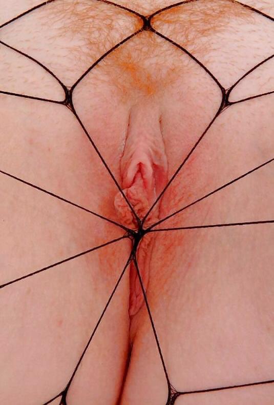 Fishnetmesh and split panties #13176173