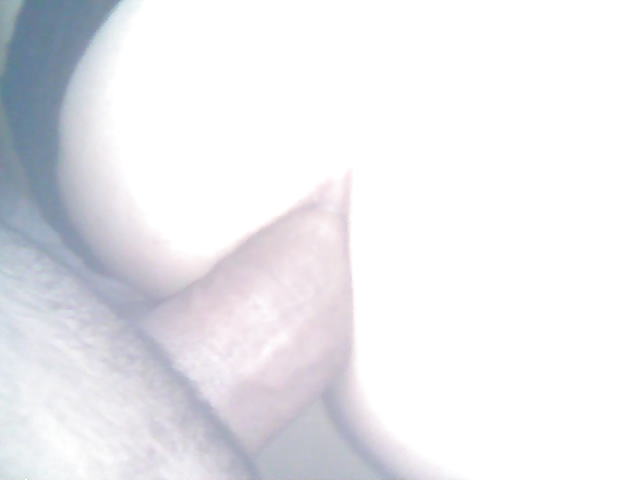 マイアミ
 #12055994