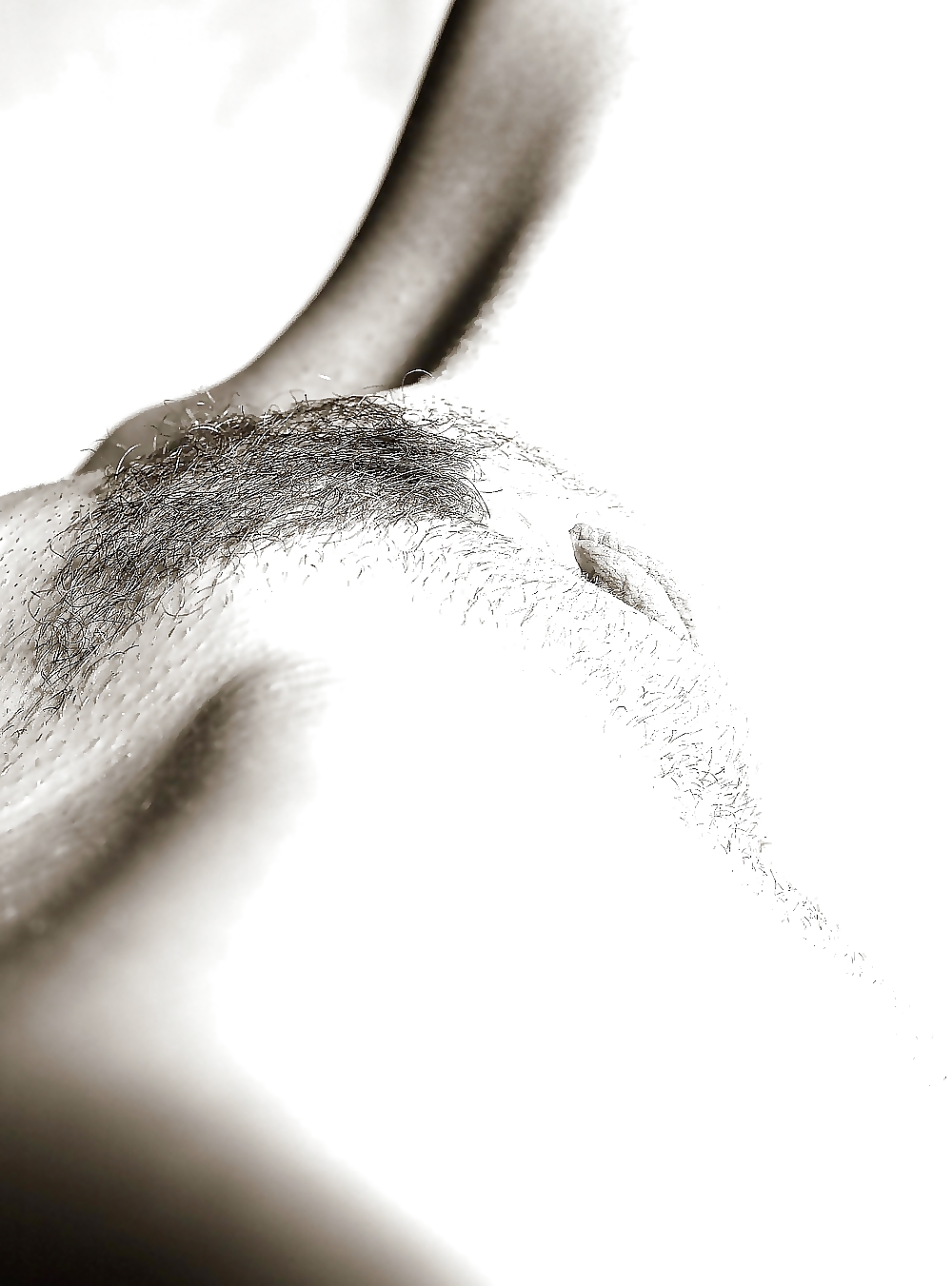 C's choice # 7 プッシー
 #21813979