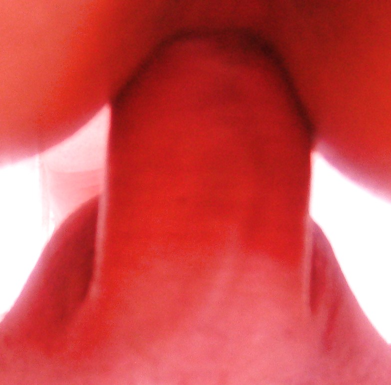 Carne y belleza
 #9133960