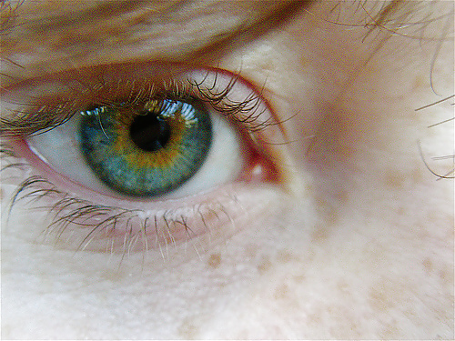 Eyes! #8919075