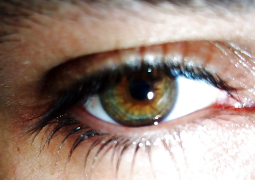 Eyes! #8919129
