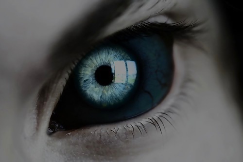 Eyes! #8919168