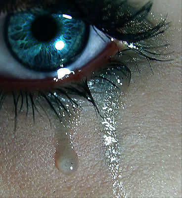 Eyes! #8919193
