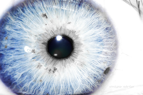 Eyes! #8919199