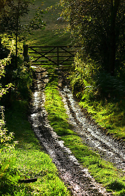 The way.... #16260501