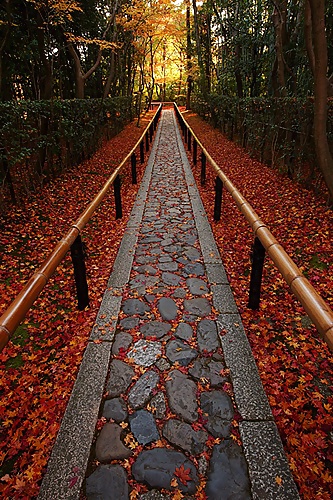 The way.... #16260544