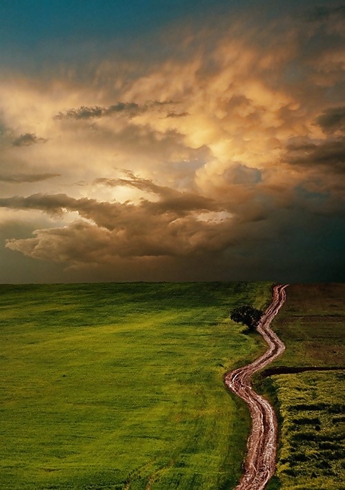 The way.... #16260563